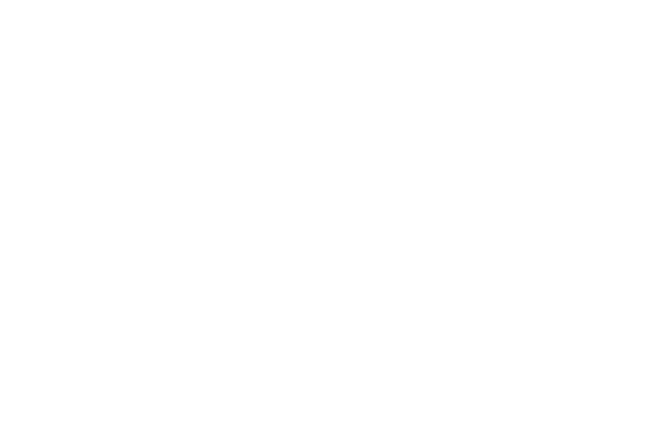 Logo cliente 2